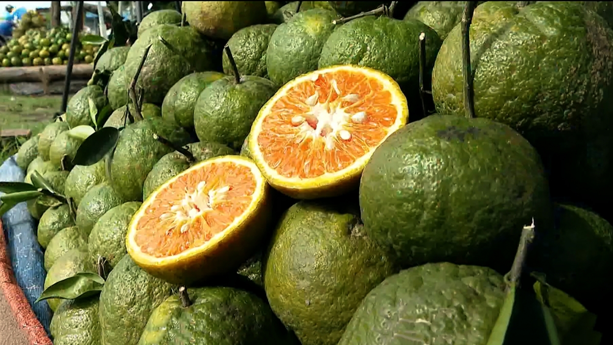 Cam sành được bày bán khắp nơi.