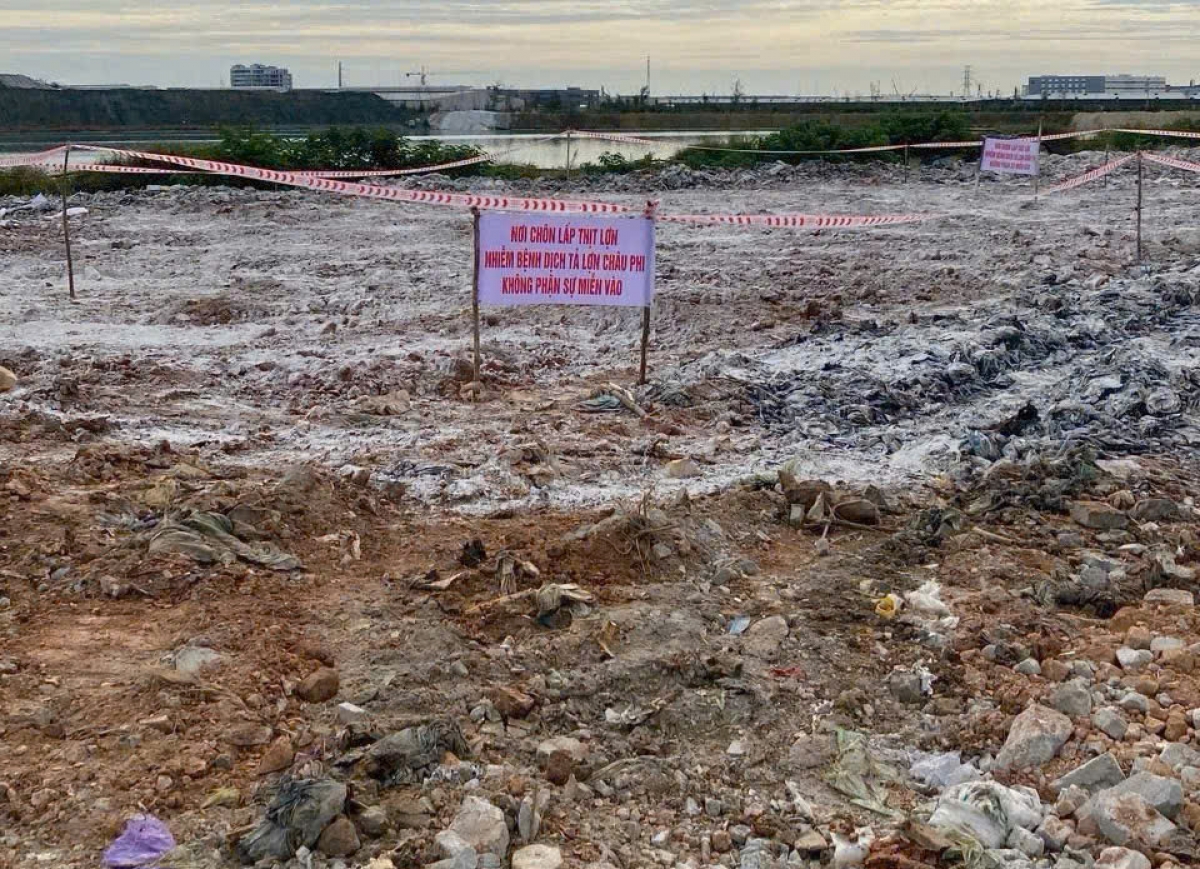 Địa điểm tiêu hủy tại Khu xử lý Đình Vũ (phường Đông Hải, TP Hải Phòng), theo hình thức chôn lấp. (Ảnh: CTV)
