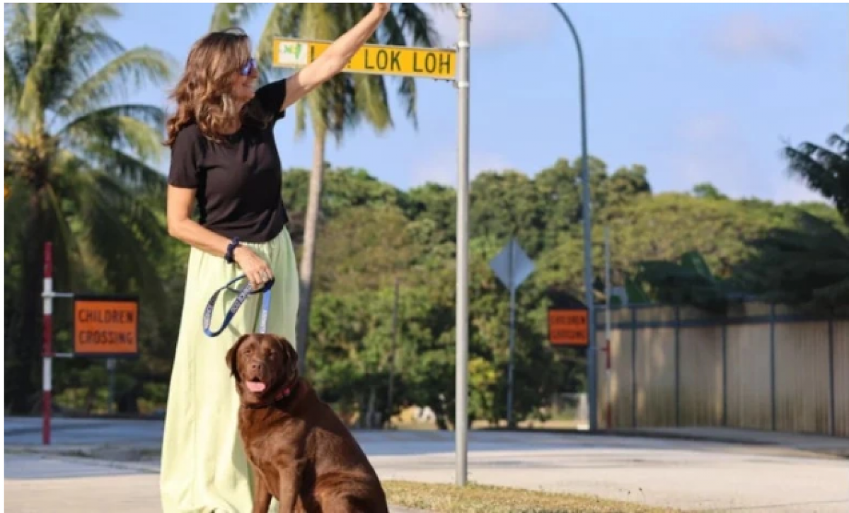 Shiloh không đến đảo Giáng sinh một cách tình cờ