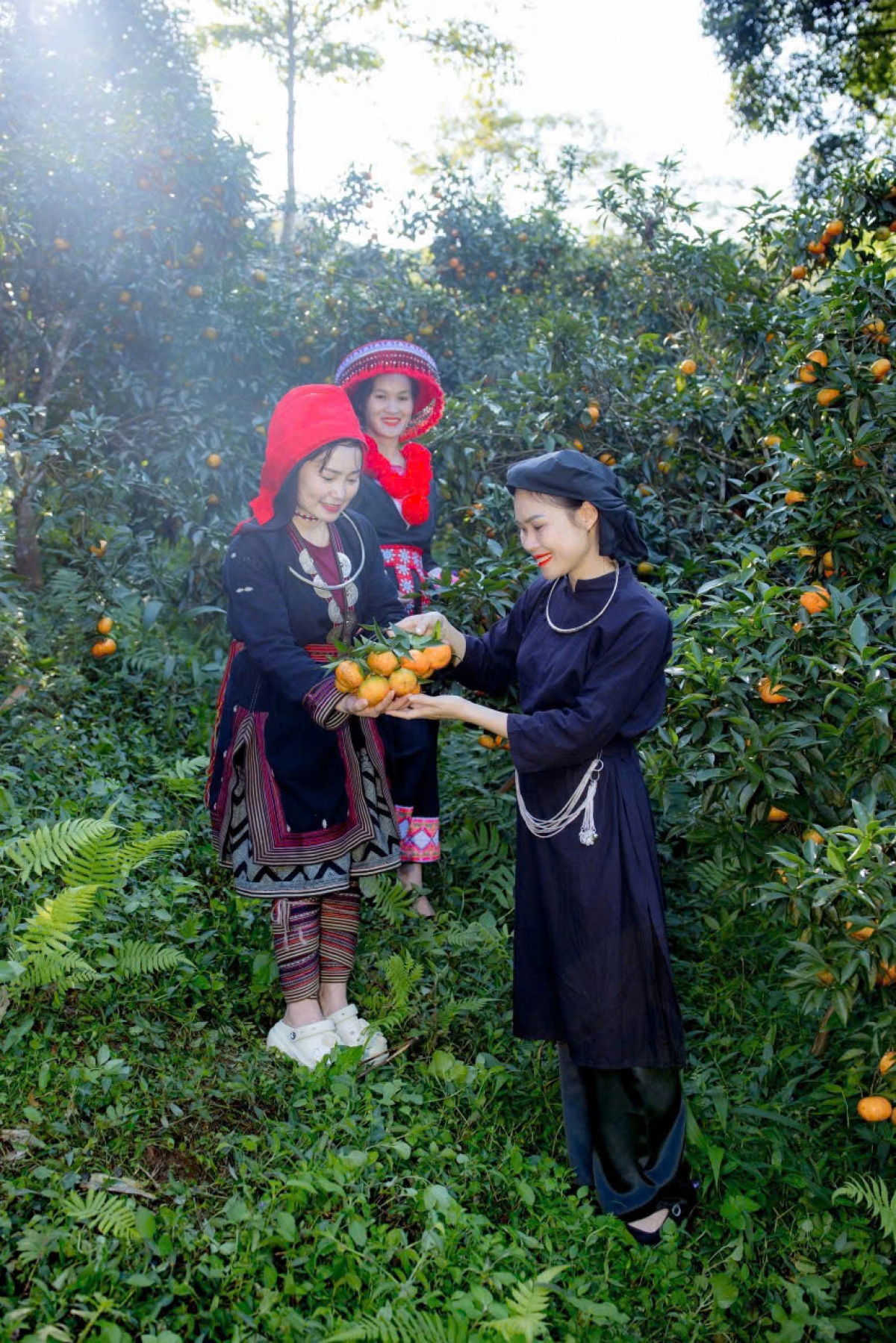 Đồng bào các dân tộc trên địa bàn tình Thái Nguyên đoàn kết, gắn bó và tương trợ nhau cùng phát triển.