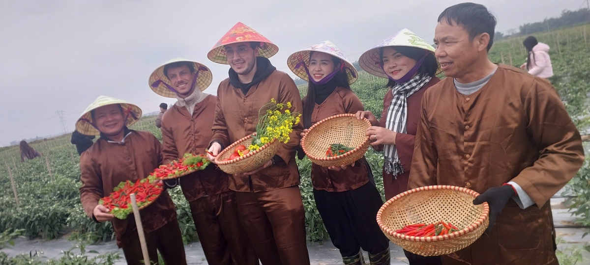 Du lịch nông nghiệp đem lại cho du khách nhiều trải nghiệm thú vị tại vườn ớt và rau củ trên địa bàn xã Đa Phúc