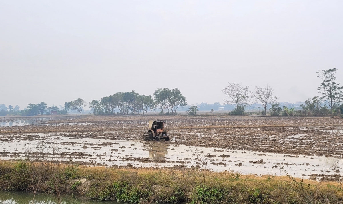 Đưa máy vào làm đất trên những ruộng đã lấy đủ nước