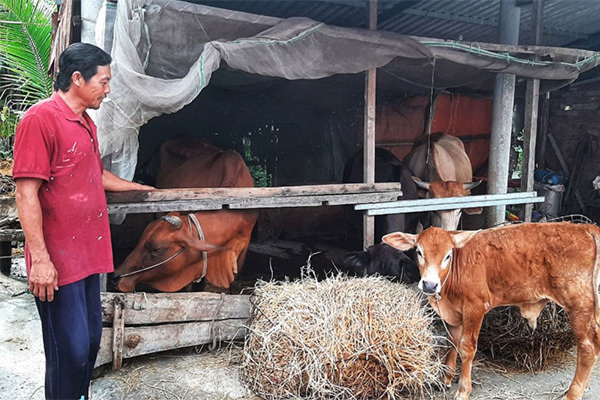 Việt Nam tiếp tục được Liên hợp quốc ghi nhận là "điểm sáng" châu Á về giảm nghèo đa chiều trong giai đoạn phục hồi.