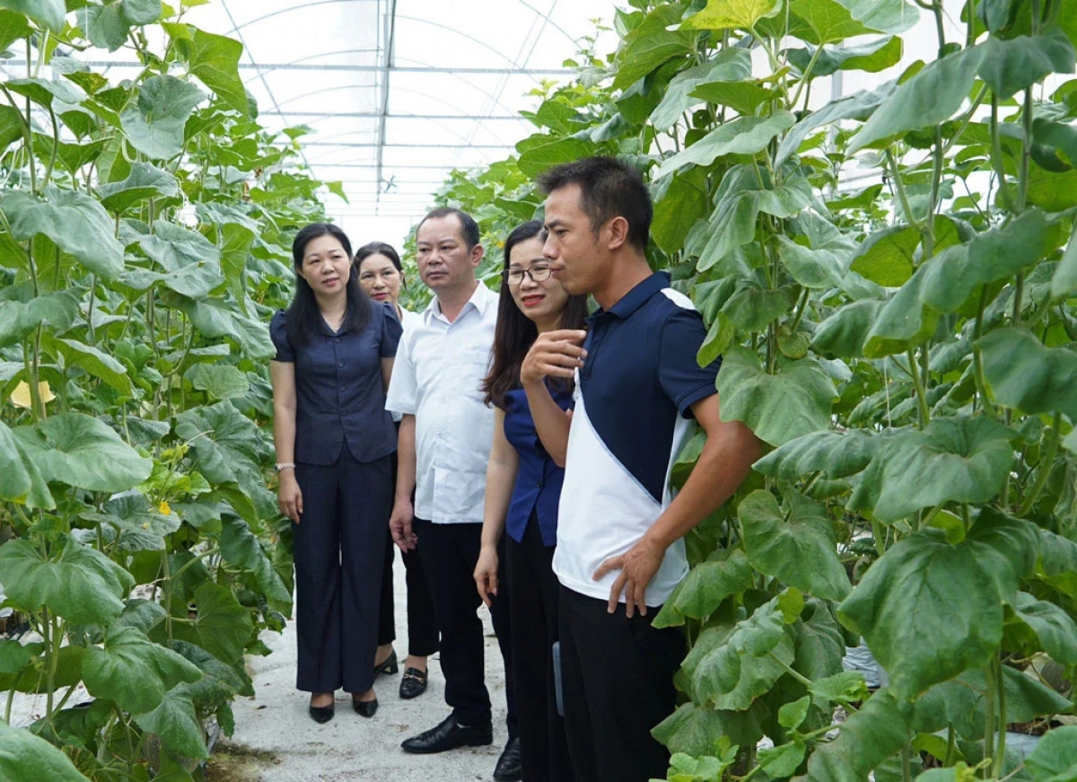 Nông dân Bắc Ninh sản xuất kinh doanh giỏi, xây dựng nông thôn mới