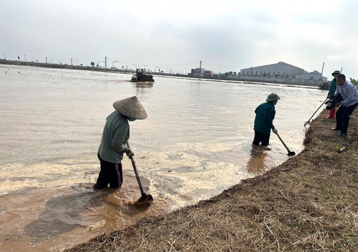 Nông dân tích cực ra đồng cuốc đất, be bờ khi nước về
