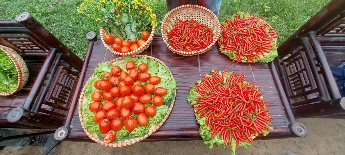 Nông sản sạch trở thành sản phẩm du lịch hấp dẫn tại Xã Đa Phúc - Hà Nội