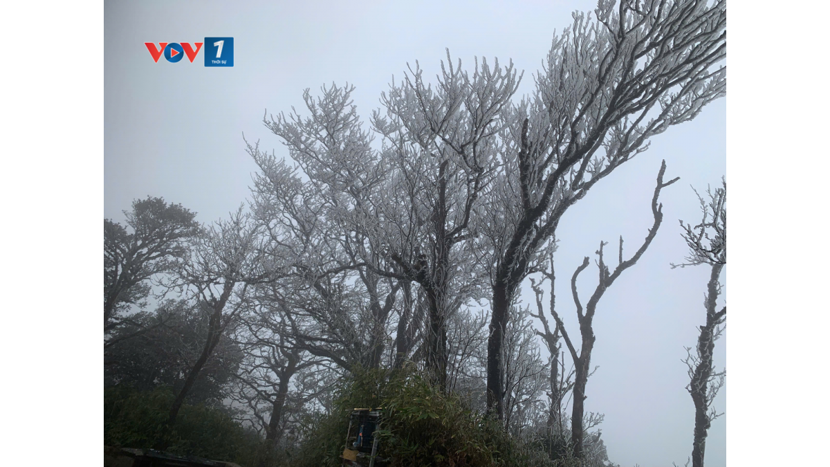 Băng giá bắt đầu xuất hiện trên đỉnh Phia Oắc từ khoảng 8h sáng nay cùng với mưa nhỏ