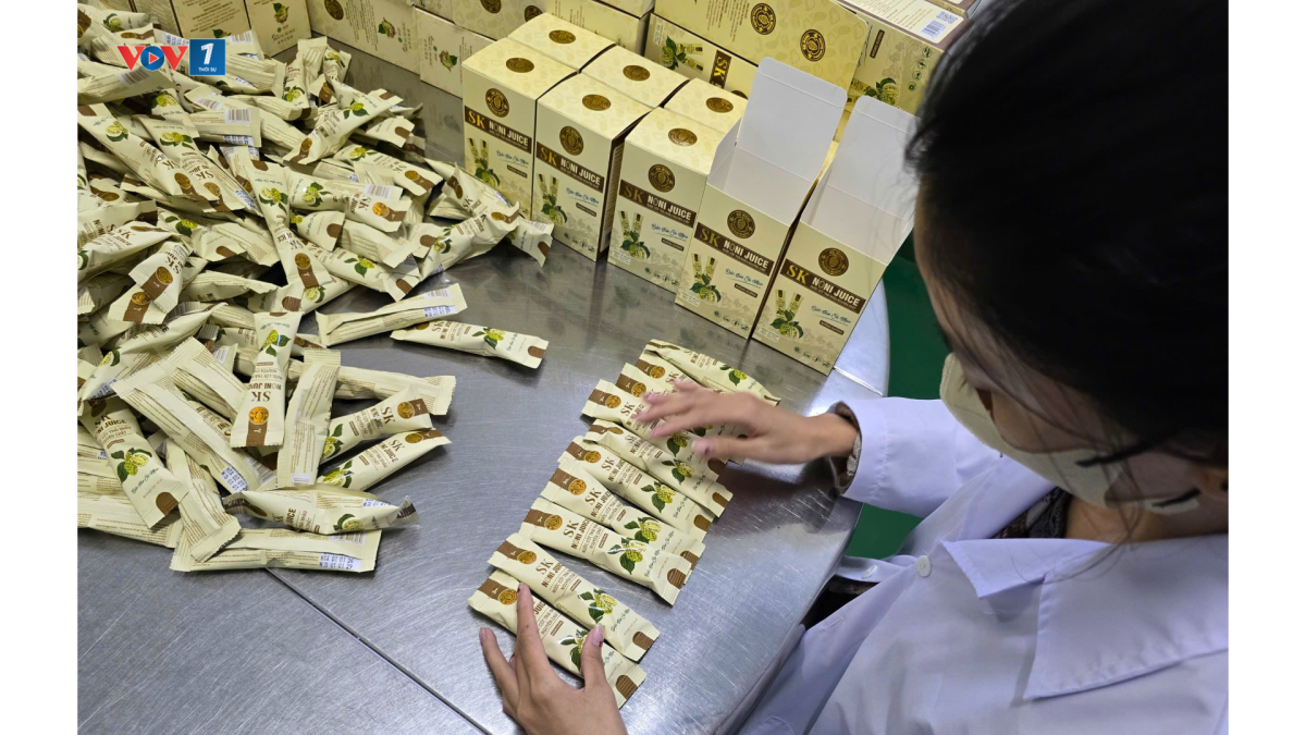 Sản phẩm nước cốt nhàu được anh Chương đưa ra thị trường từ năm 2020