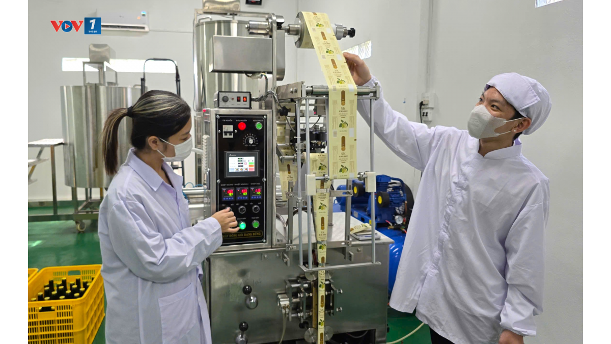 Hiện phần lớn công đoạn sản xuất nước cốt nhàu đã được anh Chương áp dụng máy móc