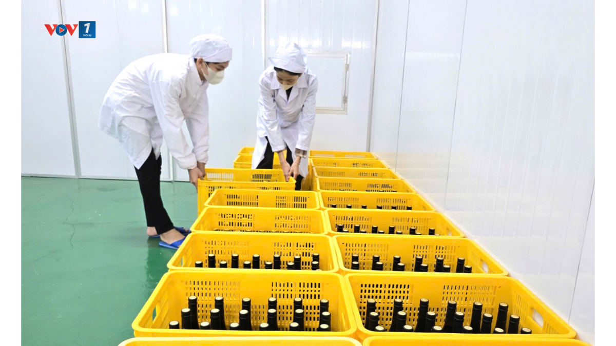 Anh Chương đang đưa ra thị trường 2 sản phẩm chính dạng đóng chai và dạng hộp