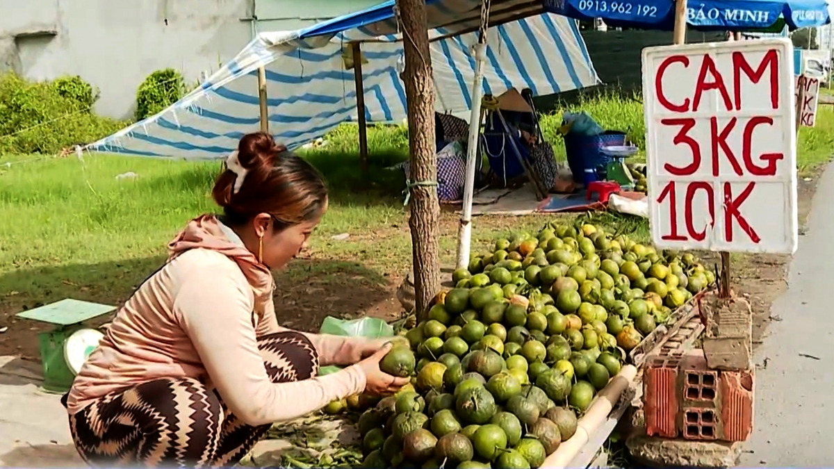 Tại Vĩnh Long cam sành bán lẻ cũng chỉ 3kg/10.000 đồng.