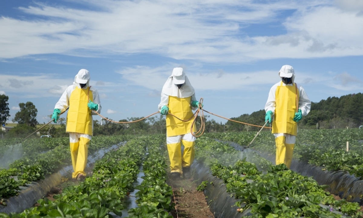 Hướng dẫn phun thuốc trừ sâu sinh học.