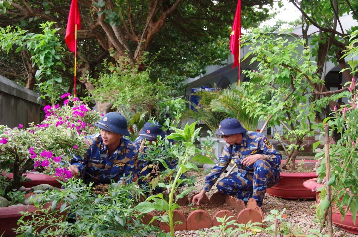 CBCS chăm sóc cảnh quan đảo