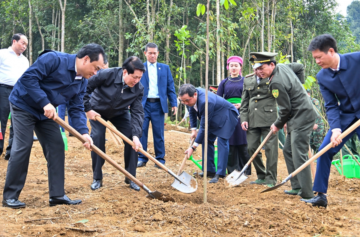 Chủ tịch nước Lương Cường cùng các đại biểu trồng cây tại lễ phát động