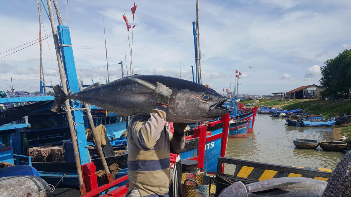 Hoạt động khai thác thủy sản