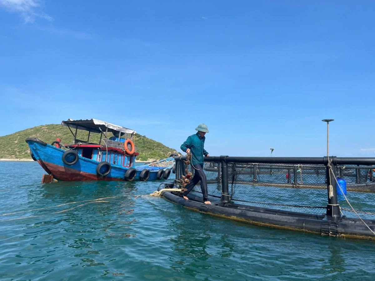 Hoạt động nuôi biển