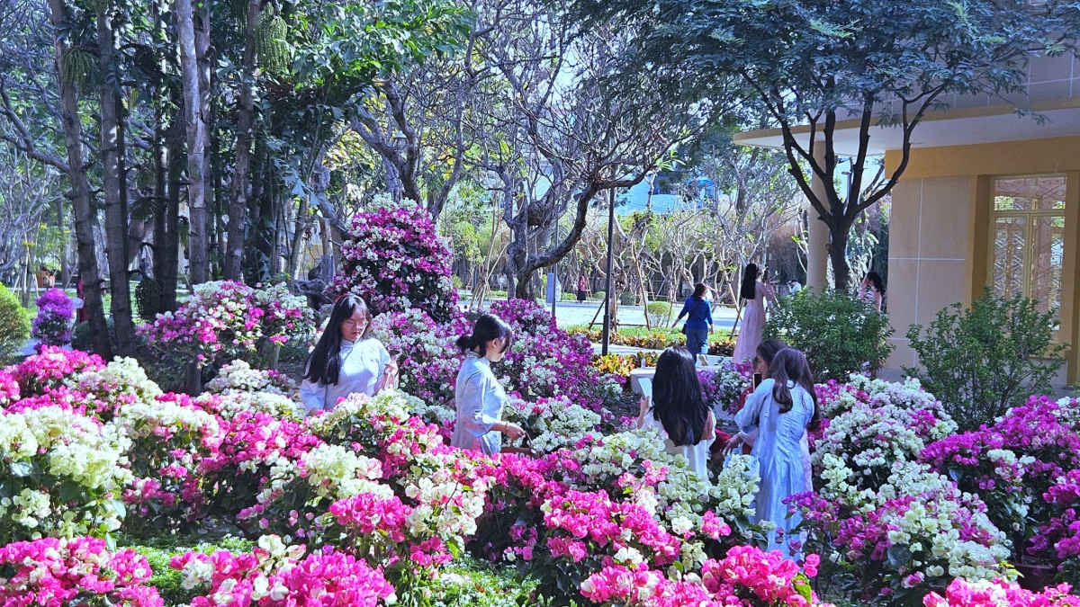 Các bạn trẻ tham quan, chụp ảnh giữa sắc hoa rực rỡ (Ảnh Nguyễn Quang)