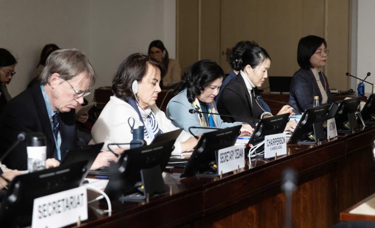 Phiên họp Công ước CEDAW