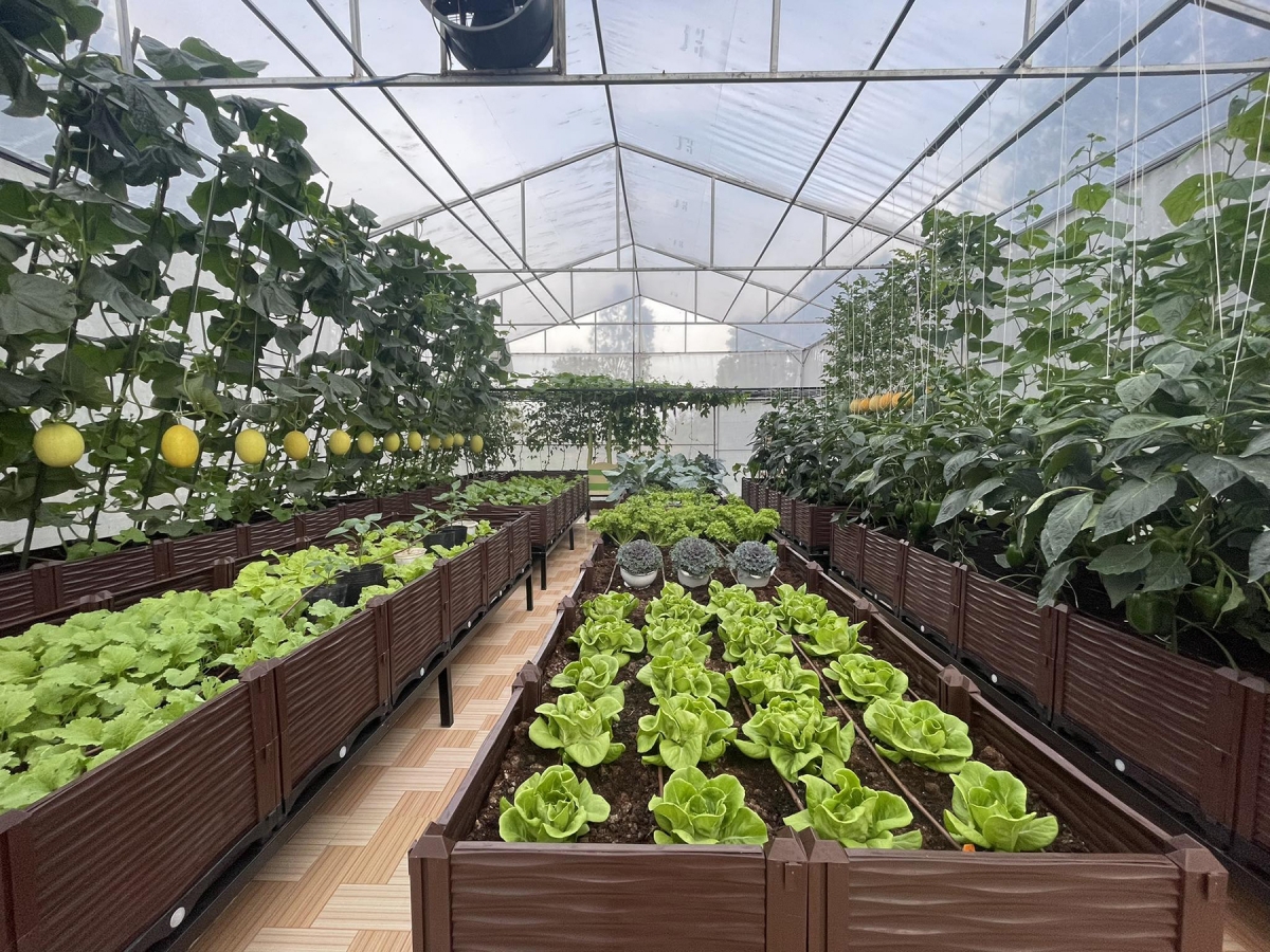 Ngành nông nghiệp nước ta đang từng bước chuyển đổi mô hình sản xuất đáp ứng xu thế tăng trưởng xanh