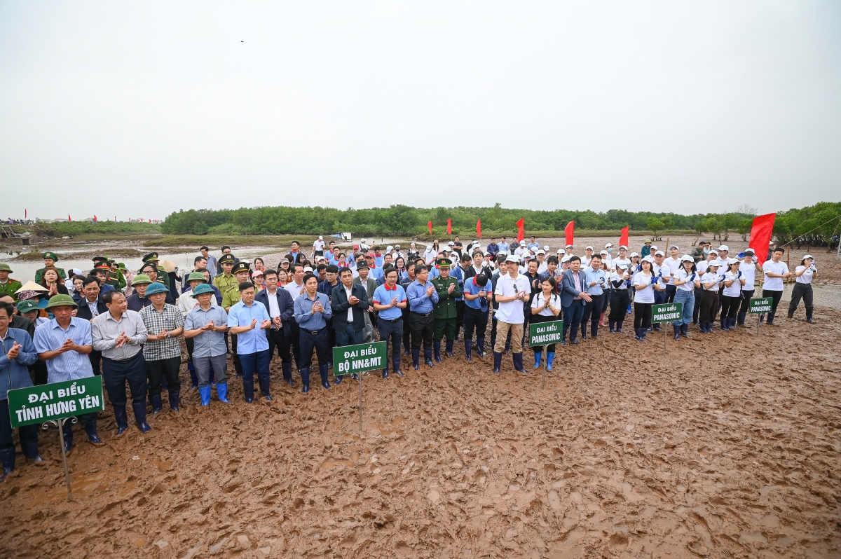 Đại biểu tham gia lễ trồng cây