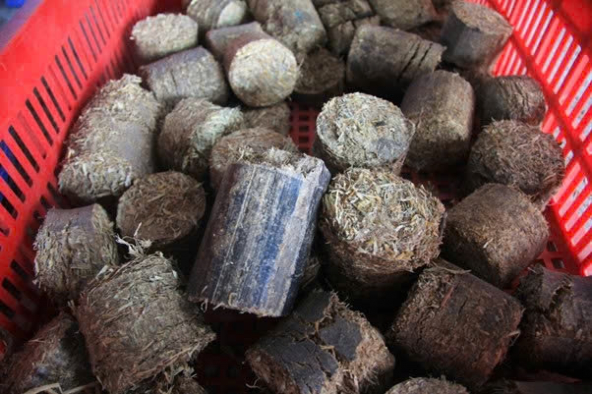 Viên nén sinh khối làm từ rơm rạ được sản xuất trực tiếp tại xưởng Đồng Tháp