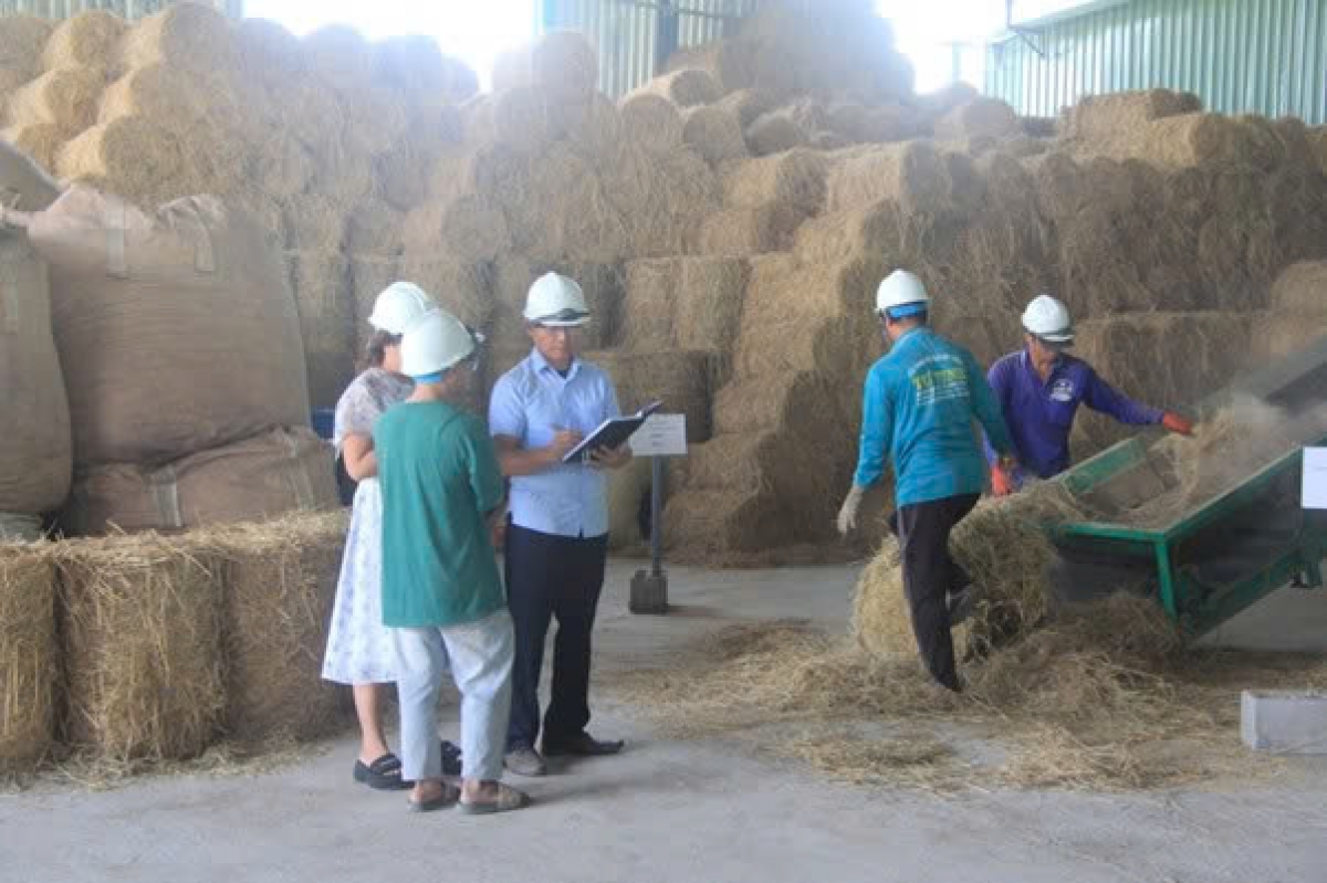 Mô hình sản xuất viên nén rơm rạ cần được phổ biến tại các địa phương trong quá trình xử lý rơm rạ