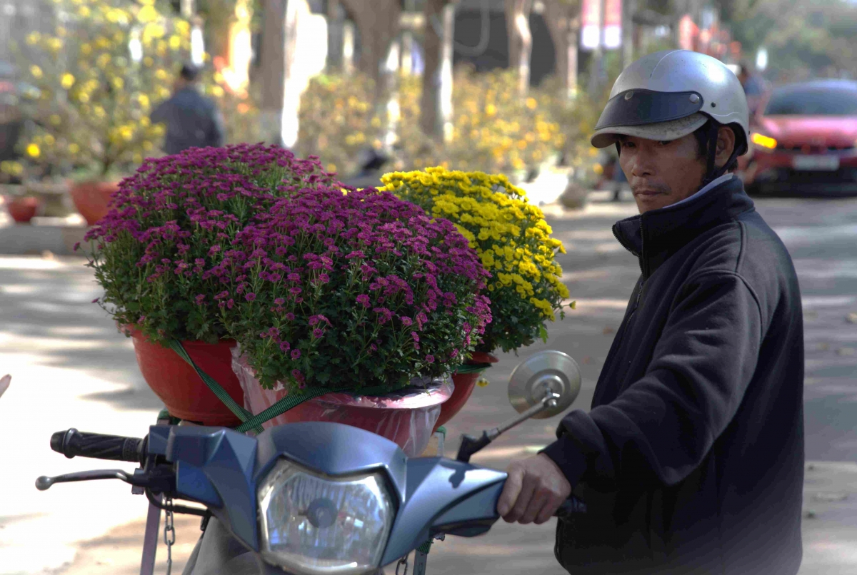 Giá một cuốc xe chở hoa từ Quảng trường 10/3 về các tuyến phố ở phường Buôn Ma Thuột tăng gấp đôi so với ngày thường.