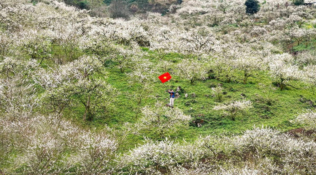 Ảnh minh hoạ (internet)