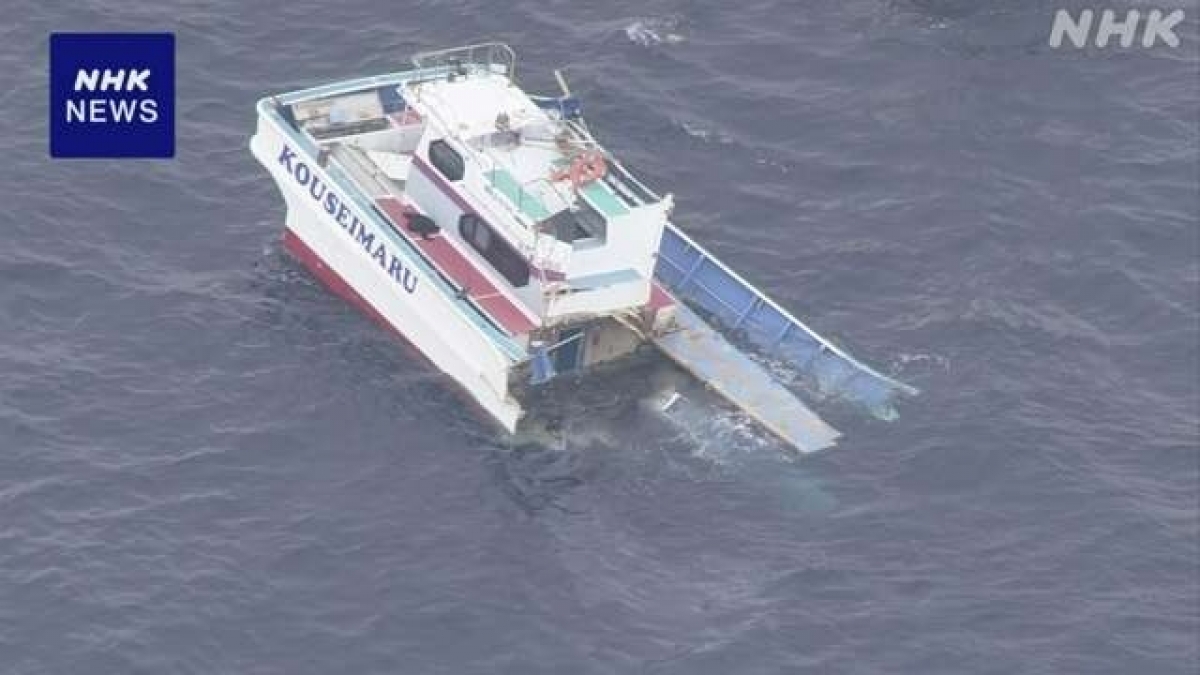 13 người trên tàu câu cá bị hất văng xuống biển sau vụ va chạm với tàu chở hàng - Ảnh: NHK