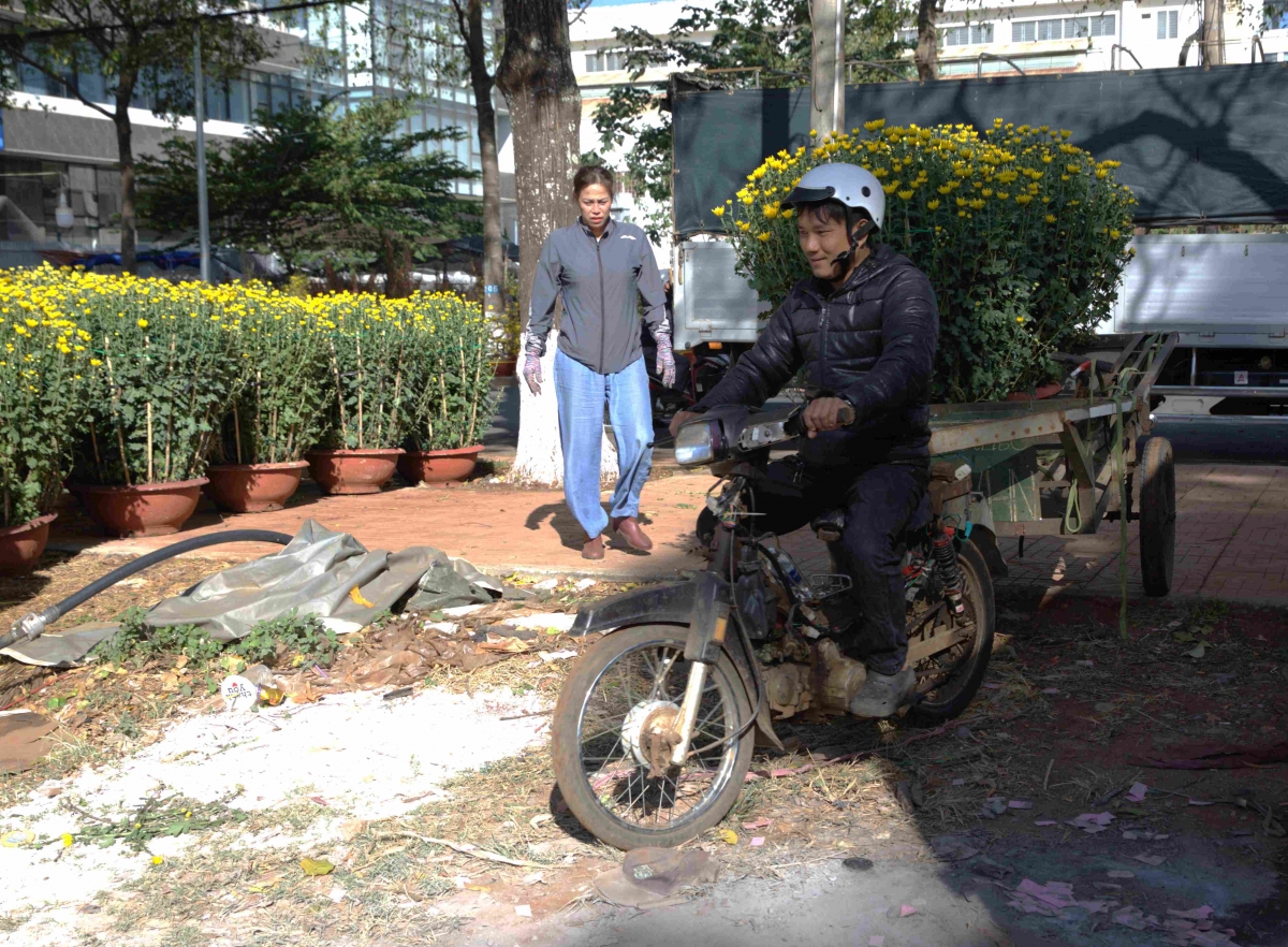 Mỗi ngày, anh Mỵ Duy Lam có thể kiếm từ 2–2,5 triệu đồng nhờ chạy xe ba gác chở chậu hoa, cây cảnh.