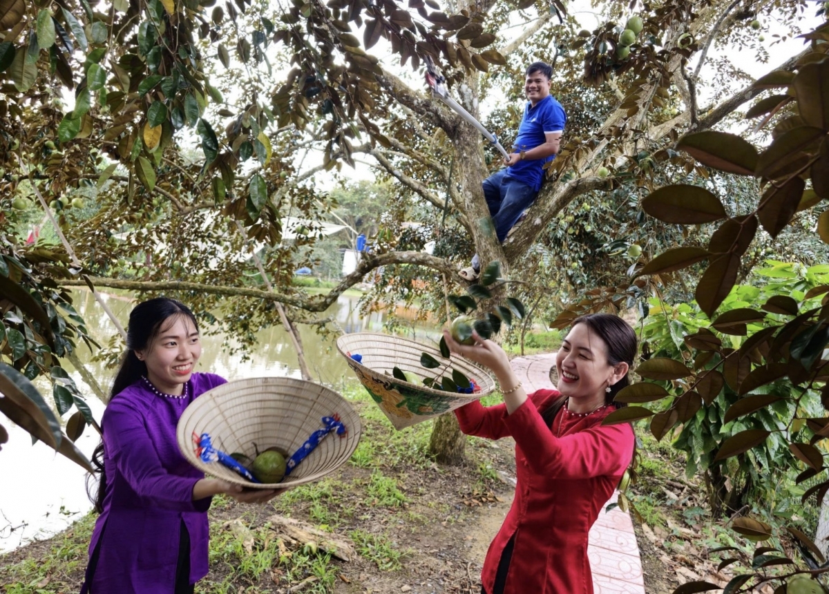 Nhiều điểm du lịch sinh thái tại miệt vườn Phong Điền thu hút khách tham quan.