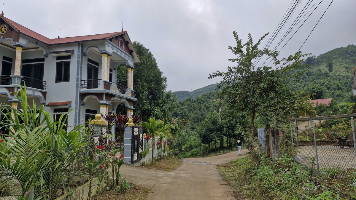 Nhờ cây quế, thôn có 138 hộ, nay chỉ còn 2 hộ nghèo, còn lại hầu hết khá giả.