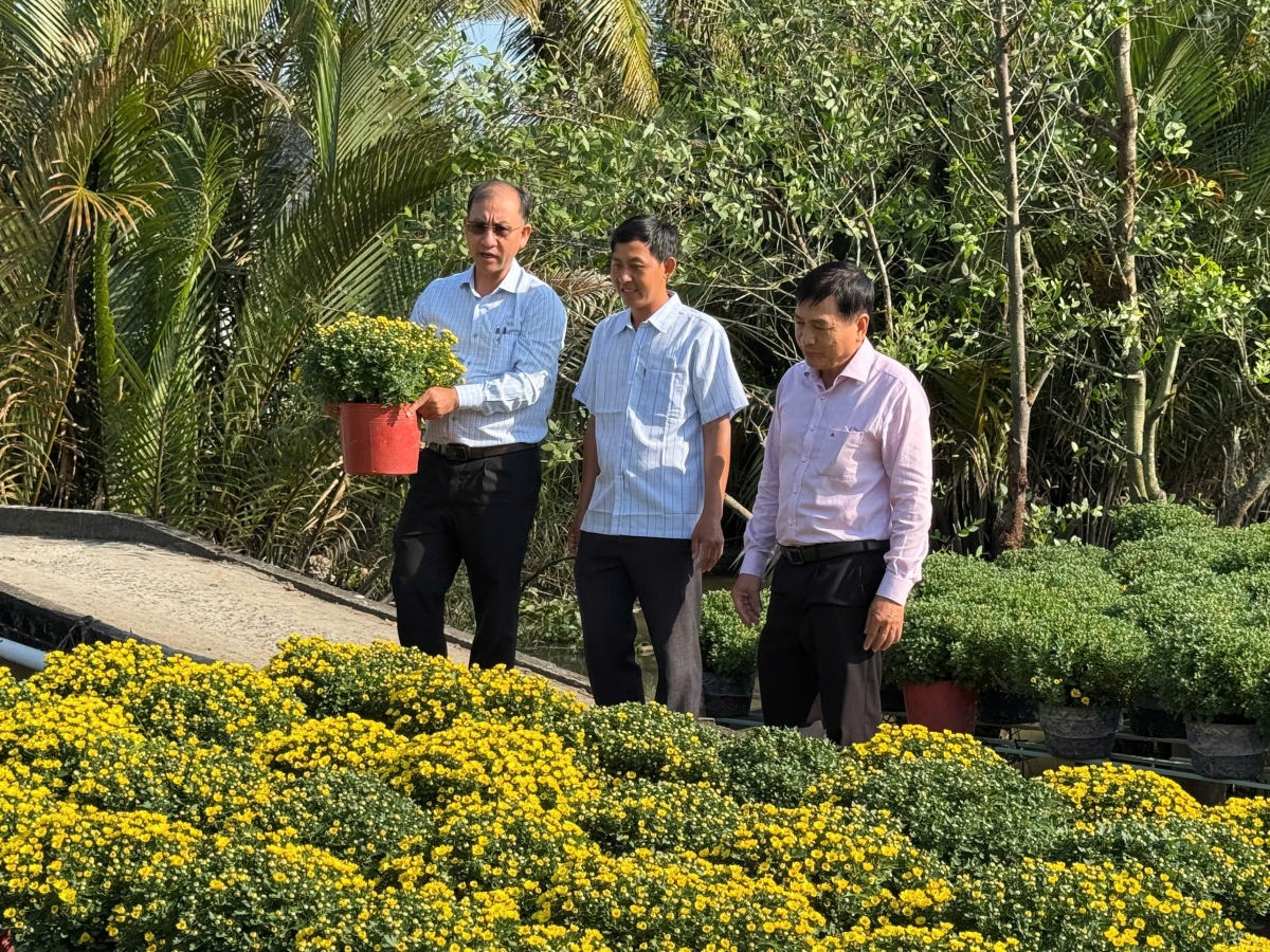 Ông Nguyễn Trung Nghĩa- Bí thư Đảng ủy xã Phong Điền (bìa trái) thăm hộ dân trồng hoa phục vụ thị trường Tết.