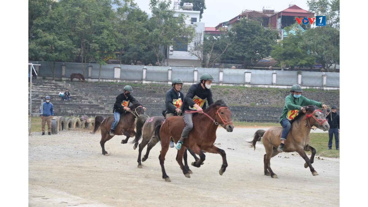 Các nài ngựa tranh tài