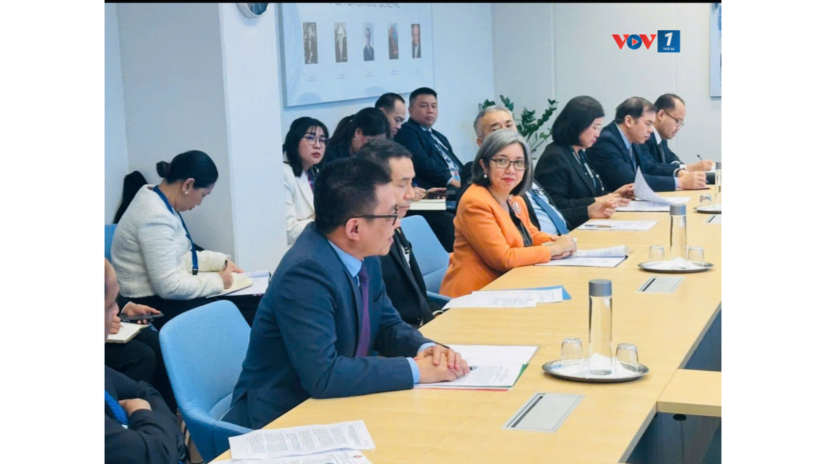 Đại sứ Việt Nam tại Áo, Vũ Lê Thái Hoàng, khẳng định Việt Nam cam kết sẽ thực hiện vai trò điều phối trên tinh thần khách quan, bao trùm, minh bạch, thúc đẩy đối thoại và đồng thuận, tăng cường phối hợp với Cơ quan Năng lượng nguyên tử quốc tế (IAEA) trong các nội dung liên quan đến sử dụng năng lượng hạt nhân.