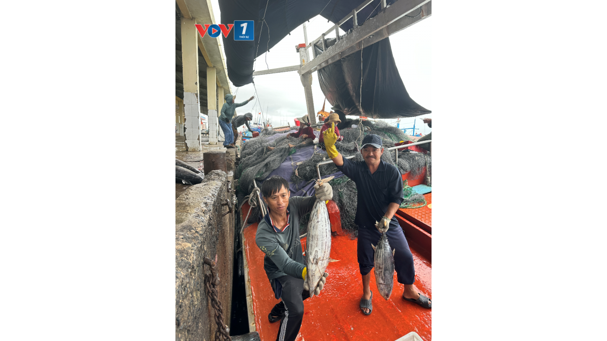 Niềm vui của ngư dân khi mùa tết trúng nhiều loại cá giá trị cao