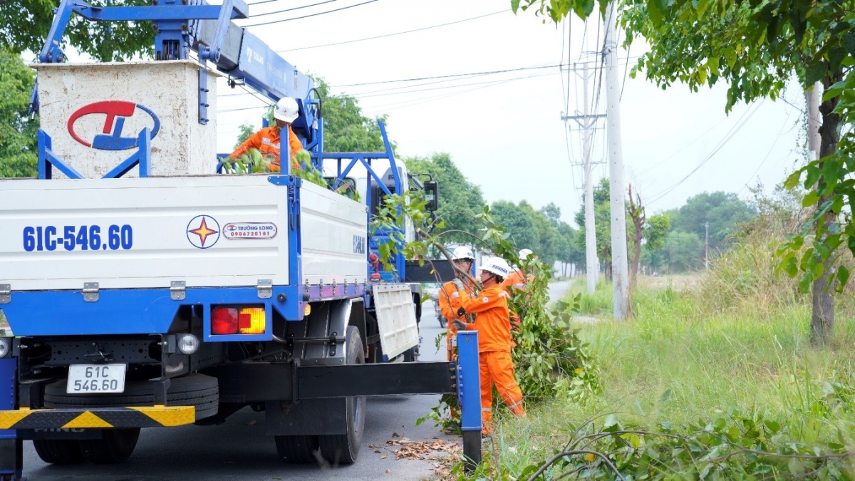 Đảm bảo an toàn lưới điện ở xã Bàu Bàng, TPHCM