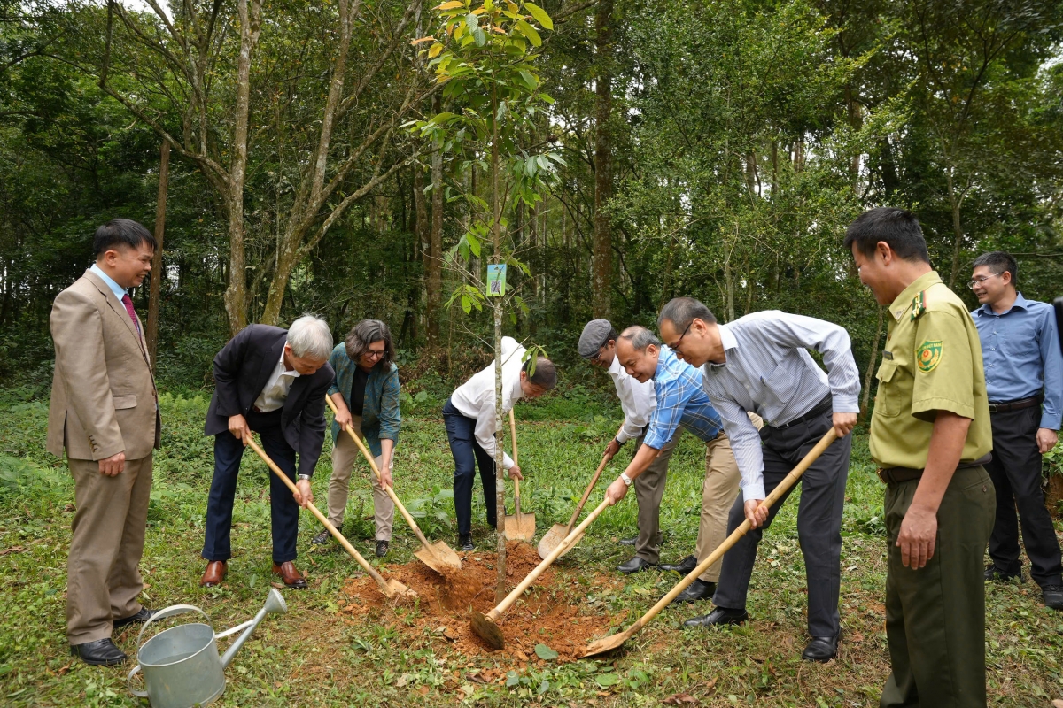Các đại biểu tham gia trồng cây.