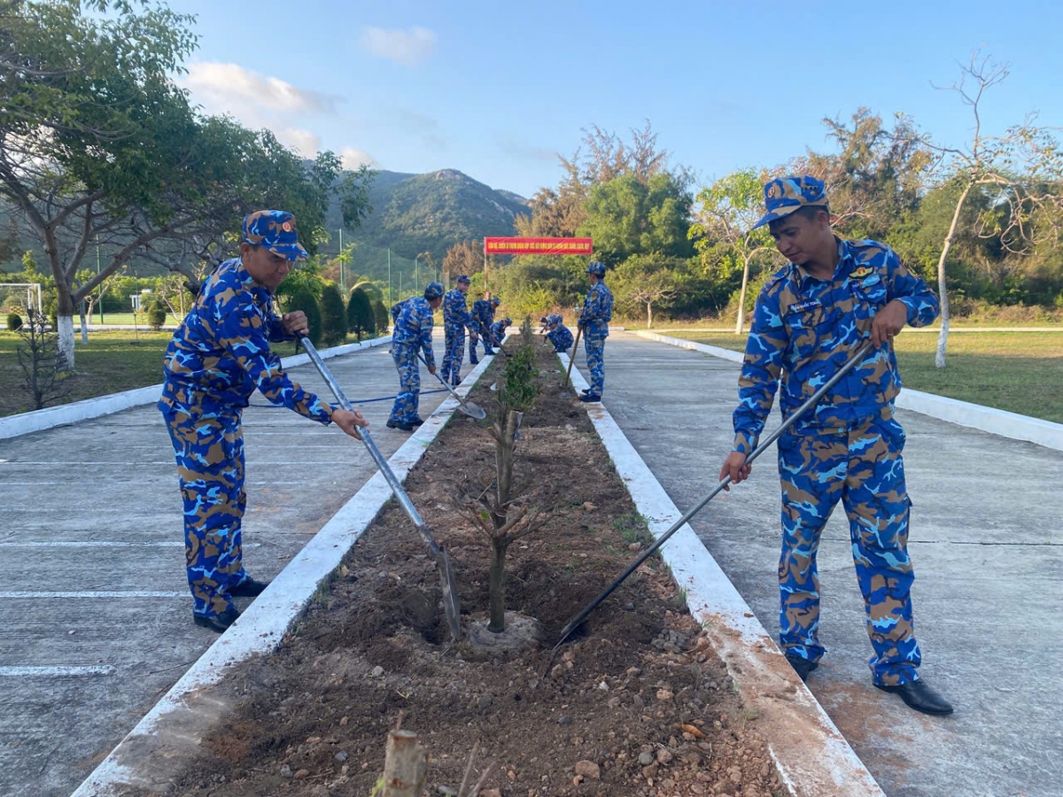 Cán bộ, chiến sĩ Trung đoàn 196 Hải quân trồng vườn hoa mai