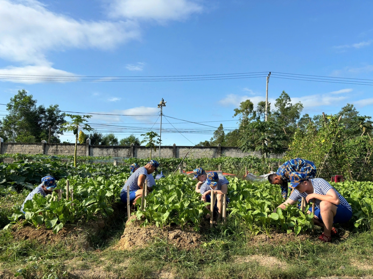 Chiến sĩ mới nhập ngũ tham gia hoạt động tăng gia sản xuất tại đơn vị
