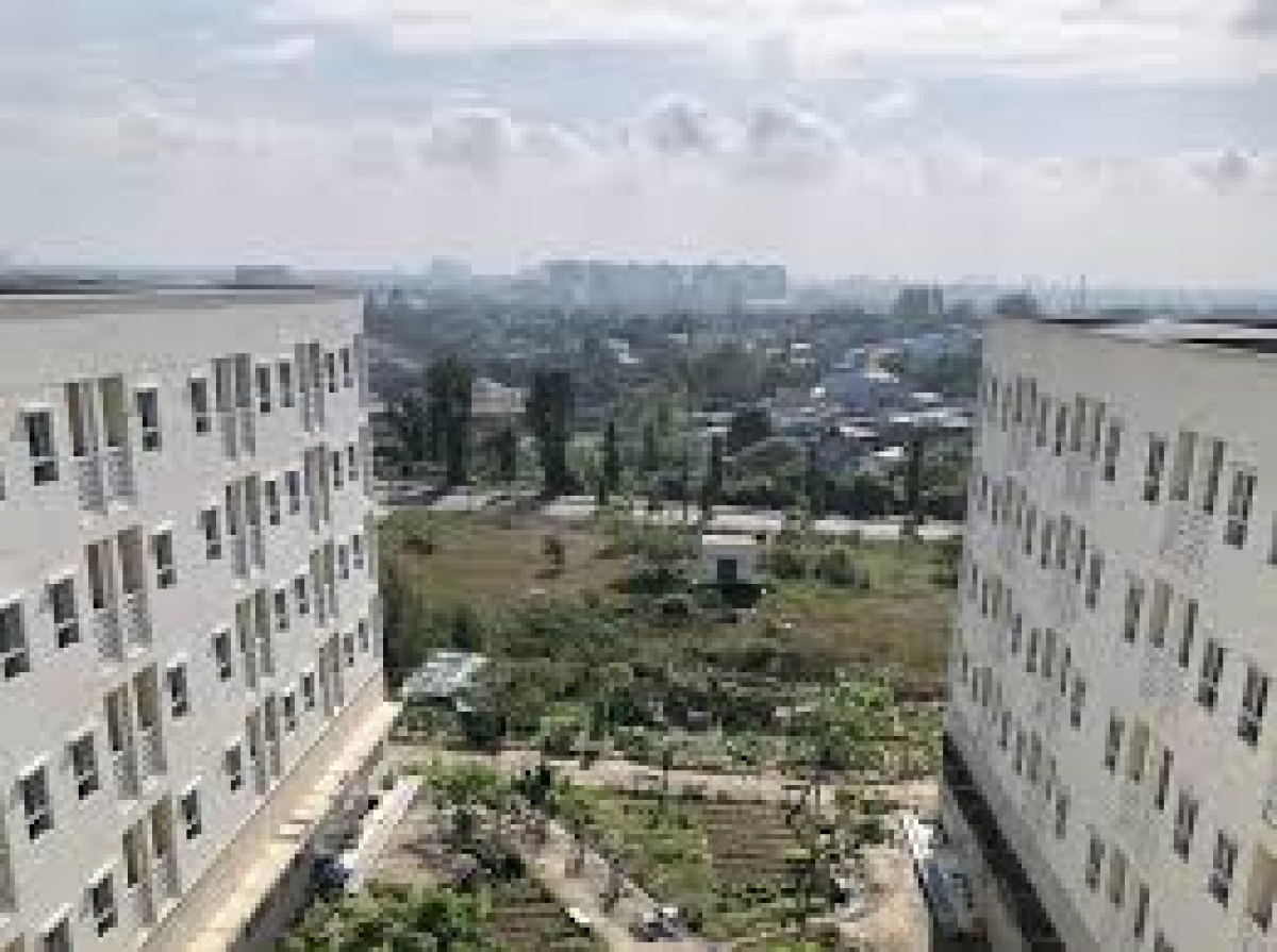 Ảnh: Báo Chính phủ