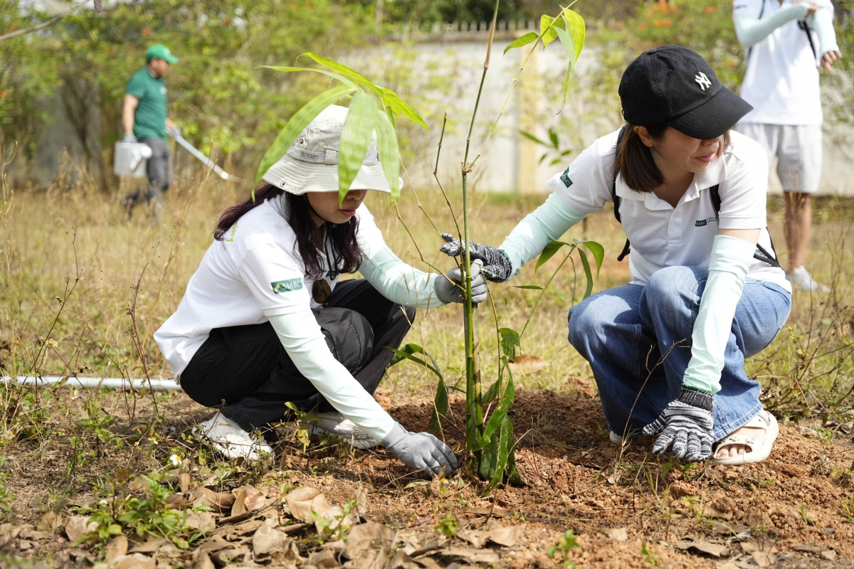 Các đại biểu cẩn thận trồng từng khóm tre nhỏ với ước mơ lớn