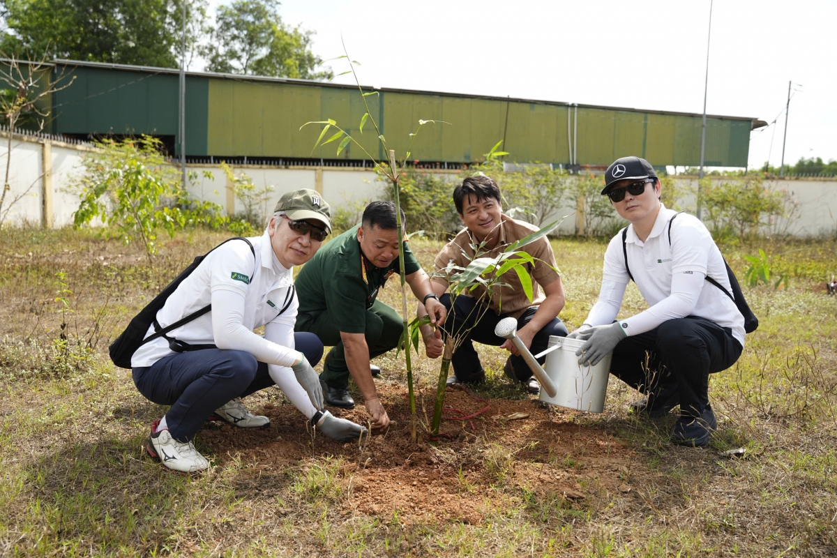 Tre không chỉ giúp phủ xanh đất trống, chống xói mòn, còn là cây tạo sinh kế bền vững cho người dân