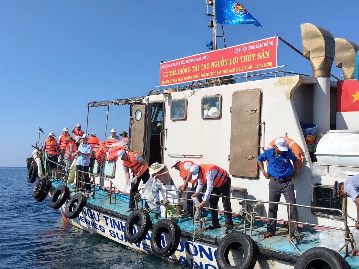 Hoạt động thả giống trên tàu Kiểm ngư tỉnh Lâm Đồng.