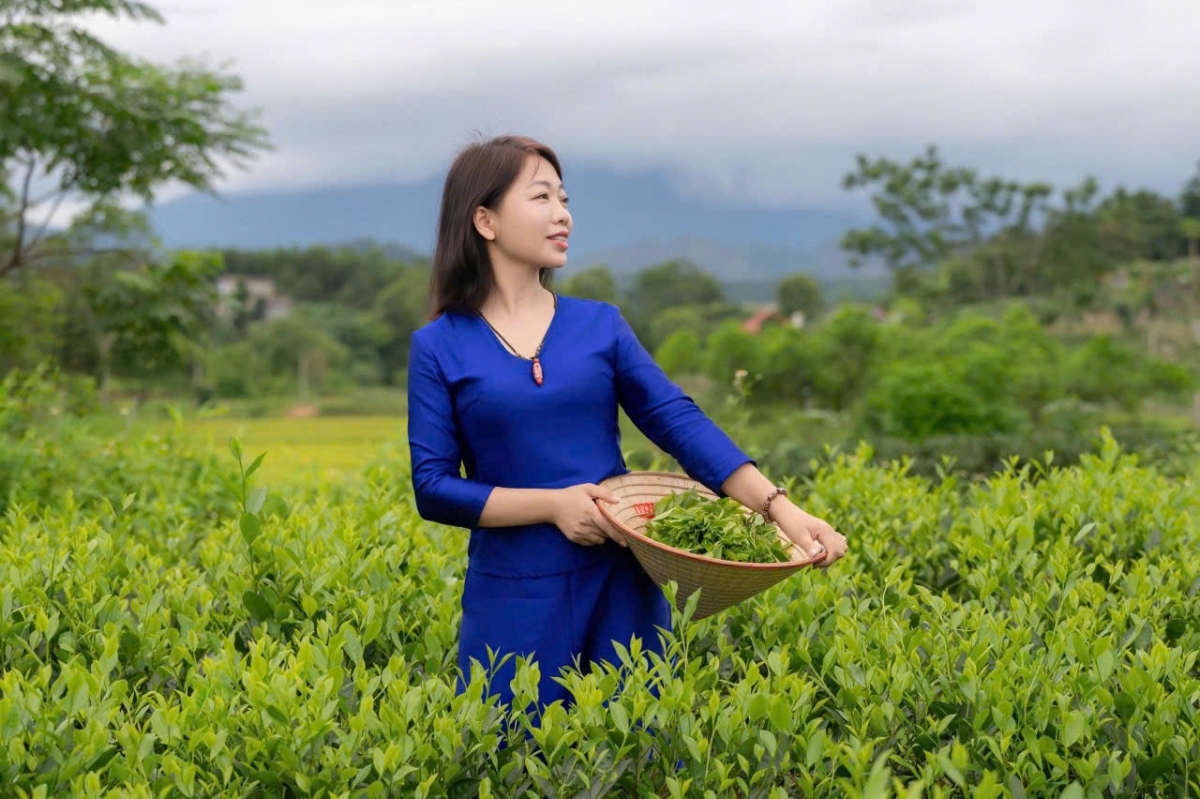 Khách mời: Bà Nguyễn Thị Hương Vân, Chủ tịch HĐQT, Giám đốc HTX Hương Vân Trà