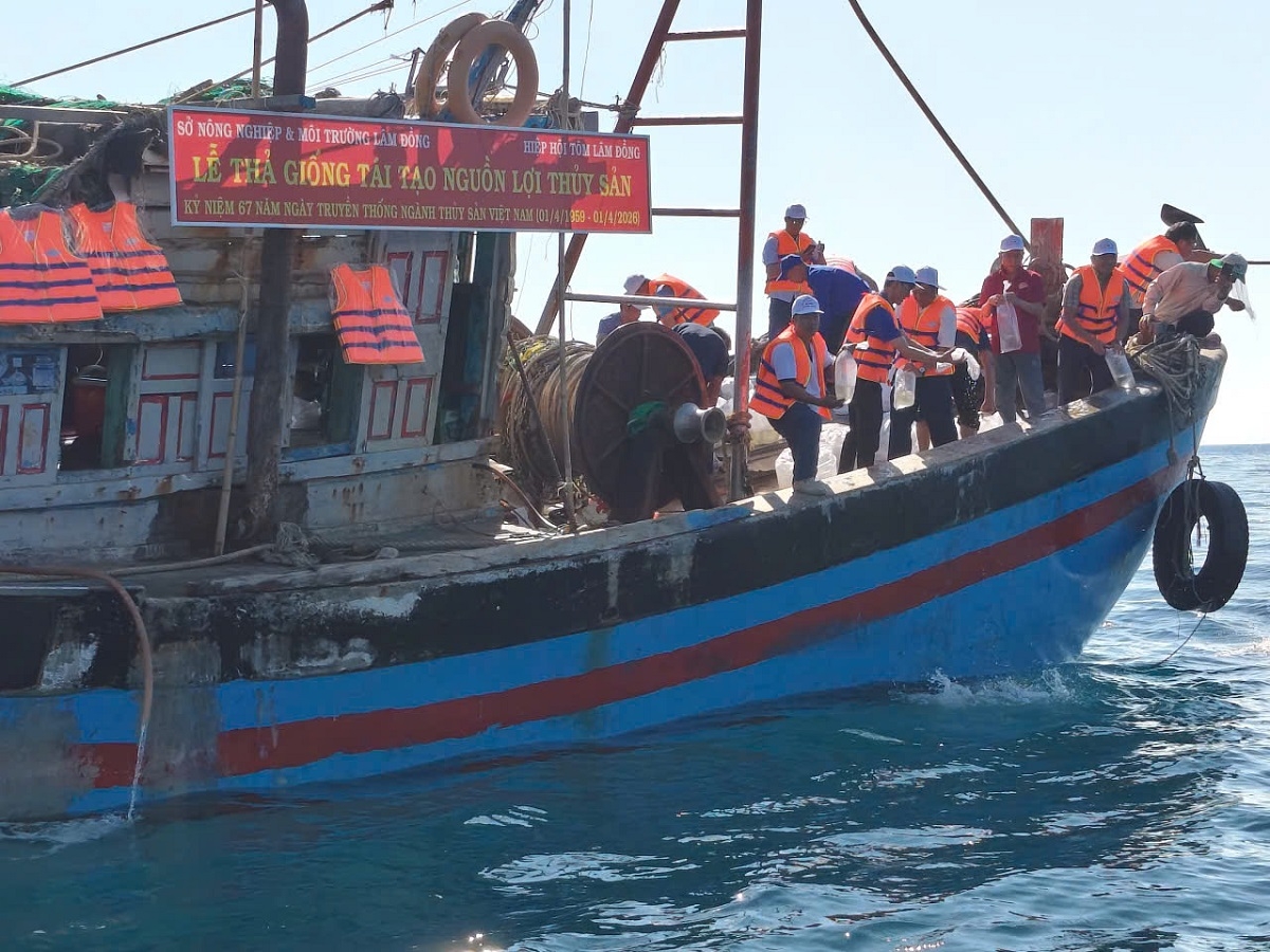 Lực lượng chức năng tiến hành thả con giống.