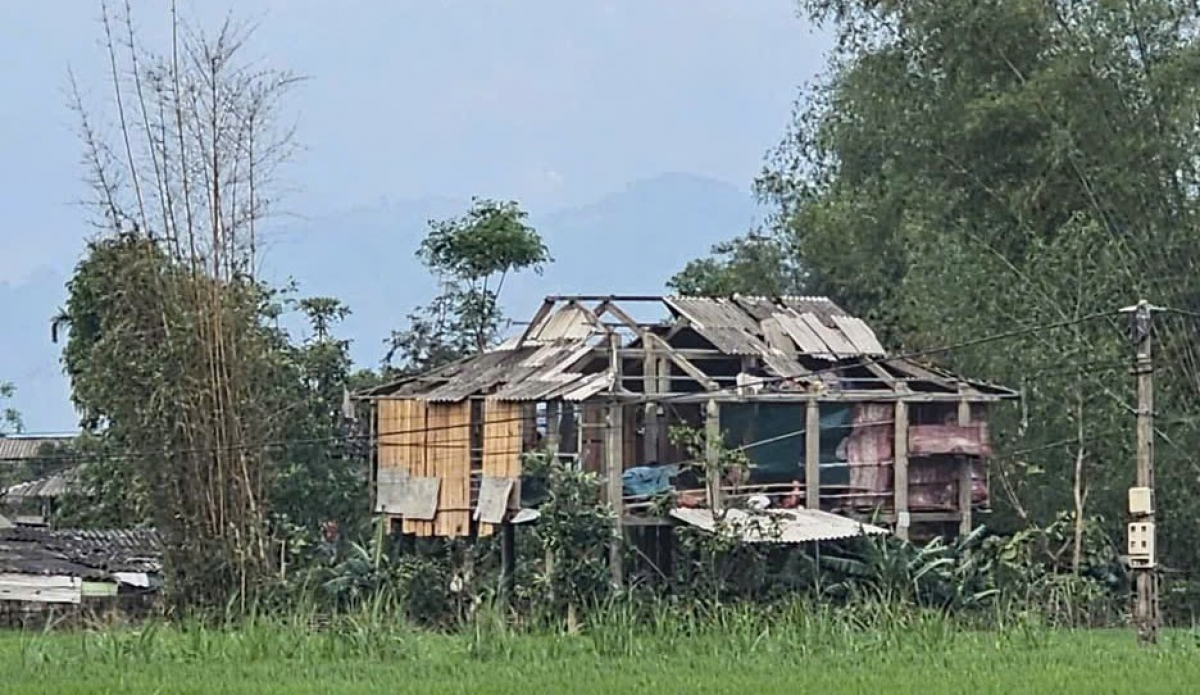 Một ngôi nhà ở cánh đồng Mường Lò bị hư hỏng nặng.