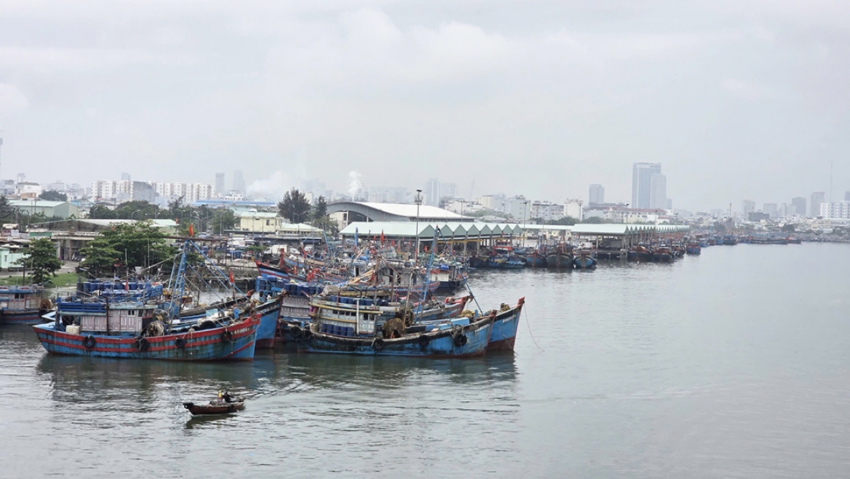 Tàu cá neo đậu trong âu thuyền Thọ Quang, thành phố Đà Nẵng, đợi giá dầu giảm mới vươn khơi.