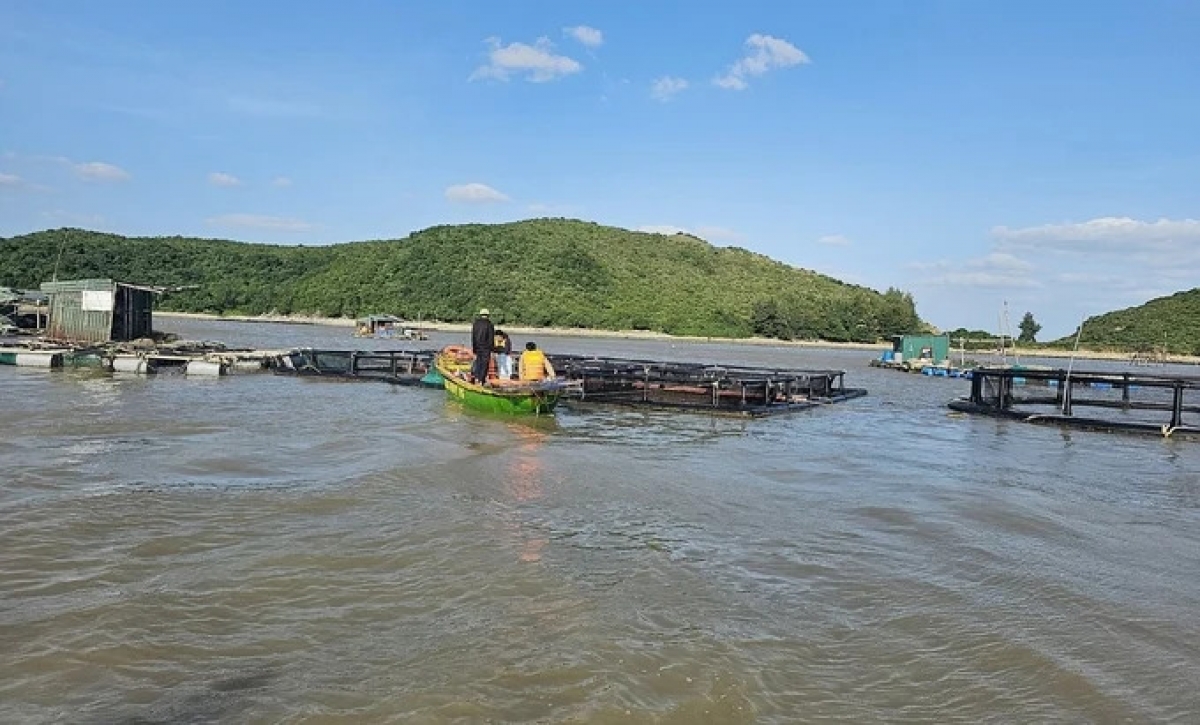 Lồng bè nuôi hải sản ở xã Phú Trạch, tỉnh Quảng Trị