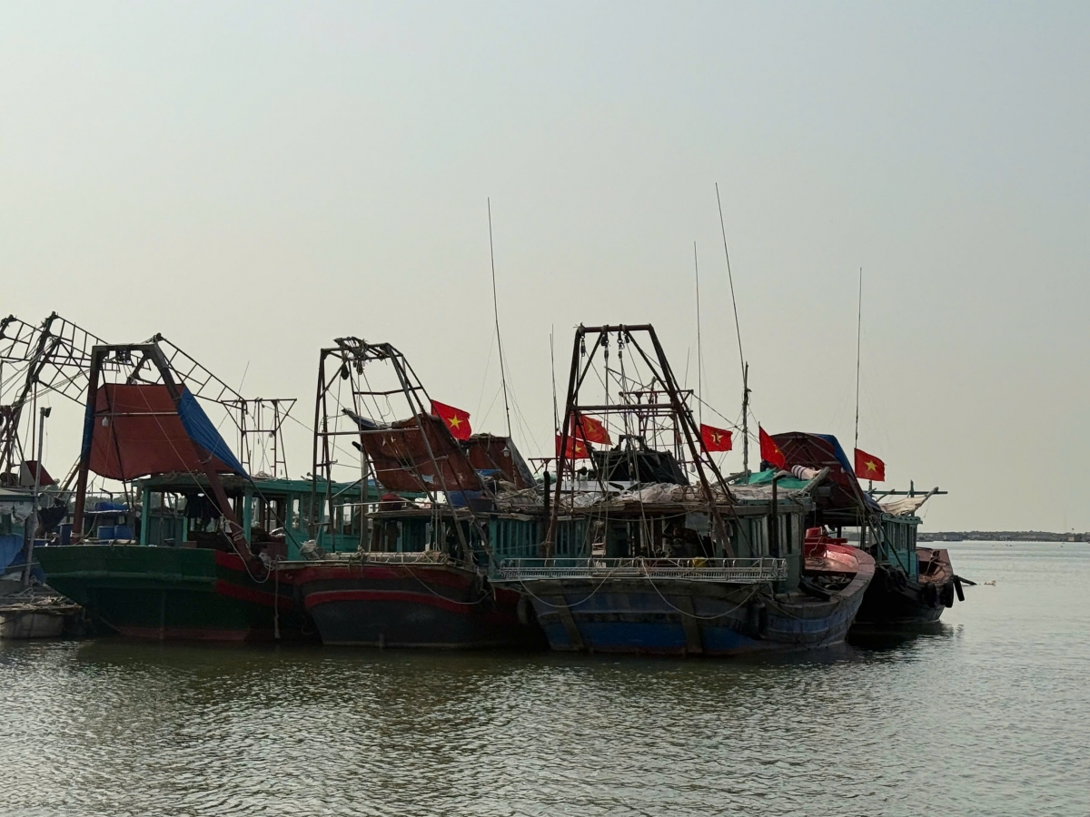 Theo Sở Nông nghiệp và Môi trường tỉnh Quảng Ninh, đến nay, toàn tỉnh có hơn 4.100 tàu cá từ 06m trở lên đã được đăng ký và cập nhật đầy đủ trên hệ thống quản lý nghề cá quốc gia.